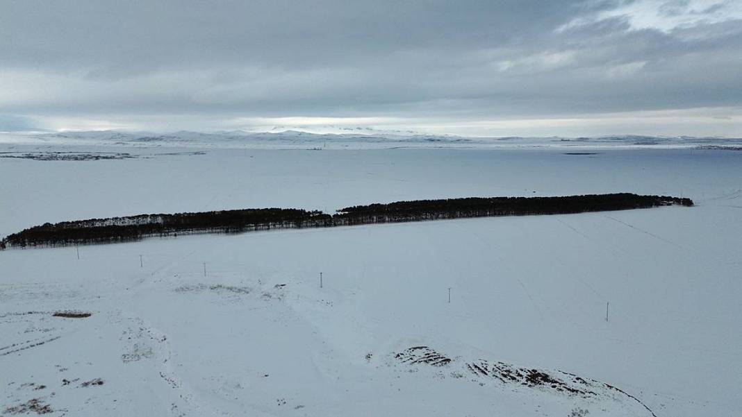 Karlar kraliçesinin saklı bahçesi gibi! Bozkırda yükselen yeşil cennet 3